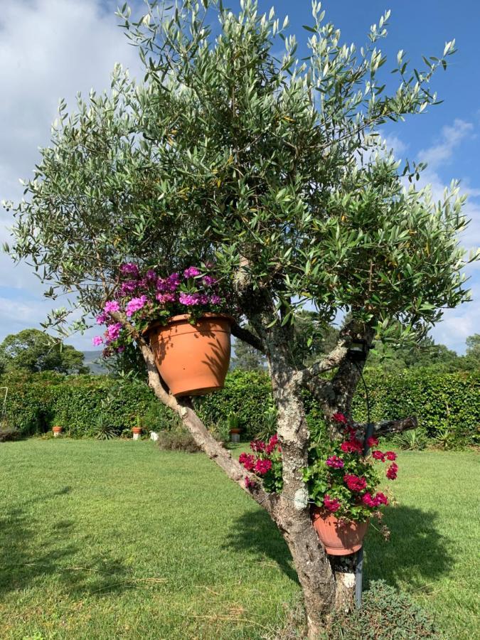 FavoesQuinta Do Pinheiral别墅 外观 照片